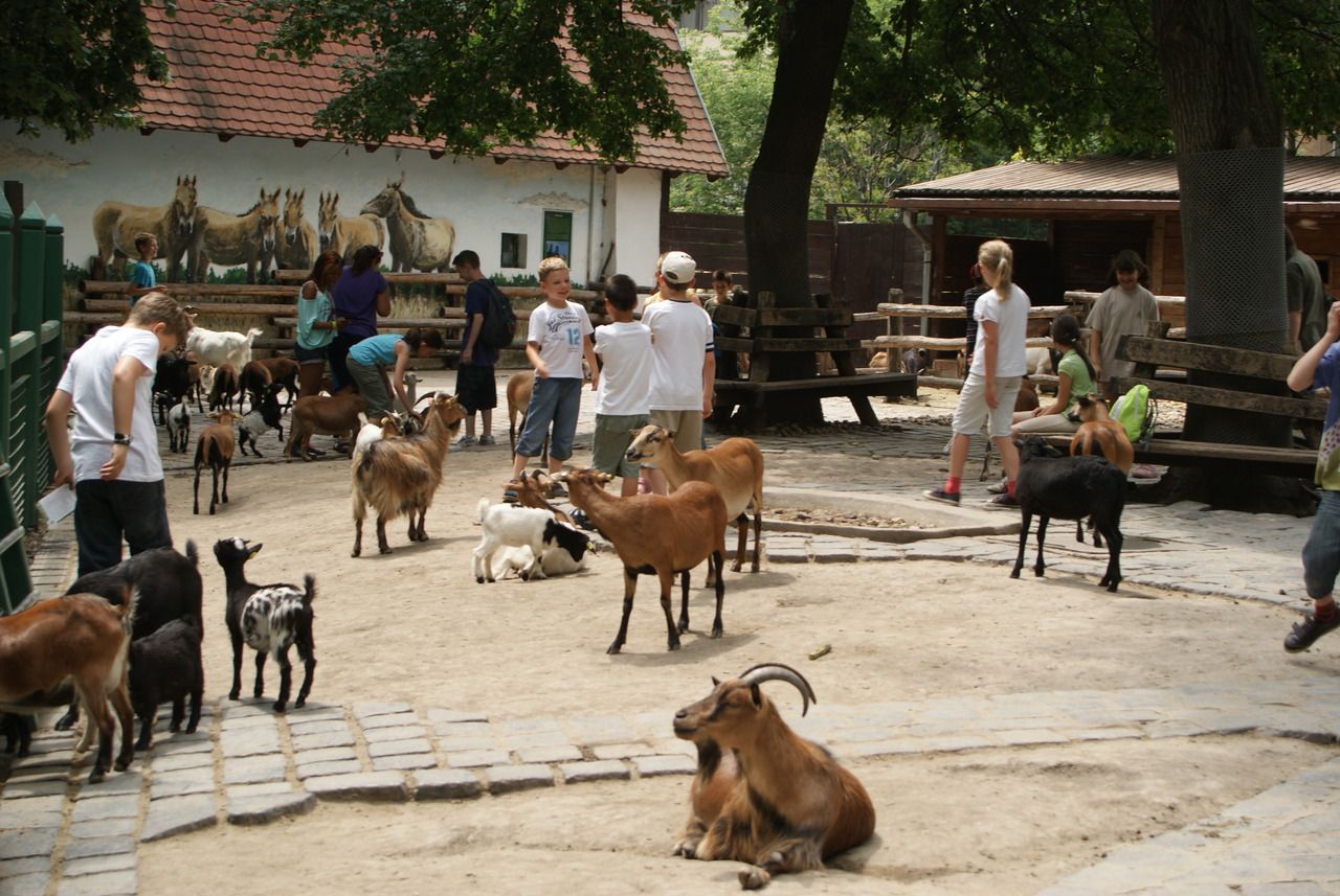 budapesti állatkert
